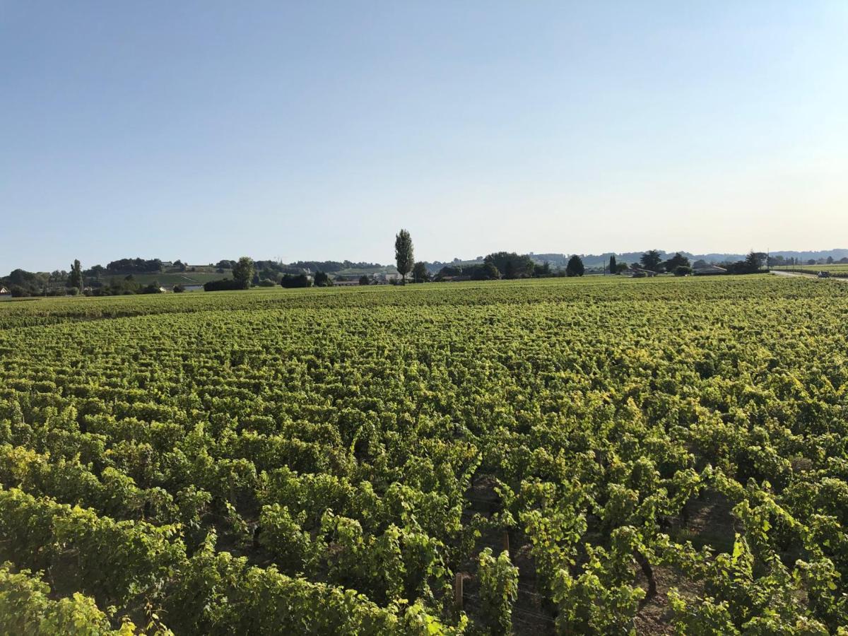Clos De Bertinat Saint-Sulpice-de-Faleyrens Exterior photo